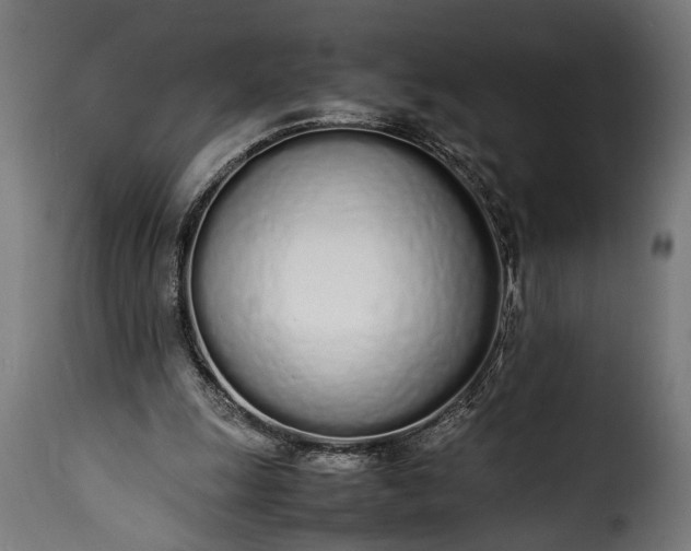 X0000115620247200911241630