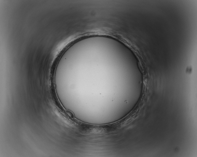 X0000115620248200911241630