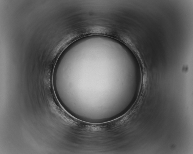 X0000115620249200911241630