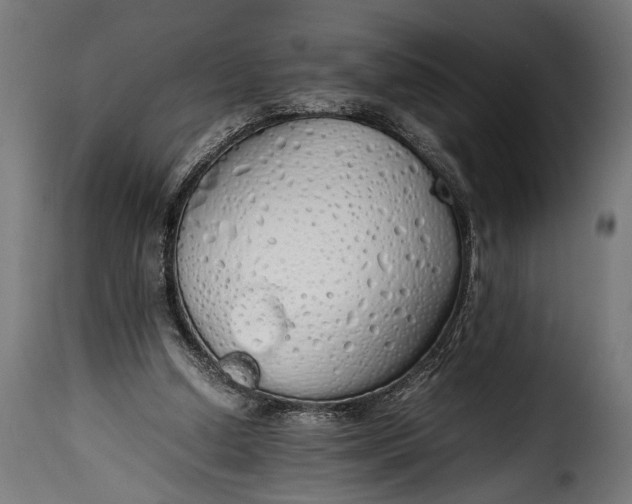 X0000115620250200911241630