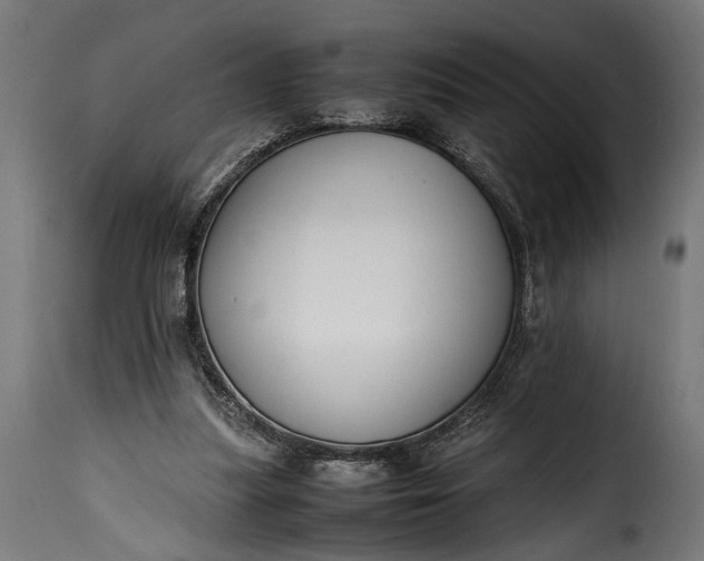 X0000115620251200911241630