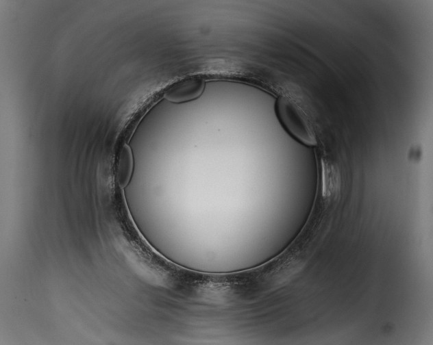 X0000115620252200911241630