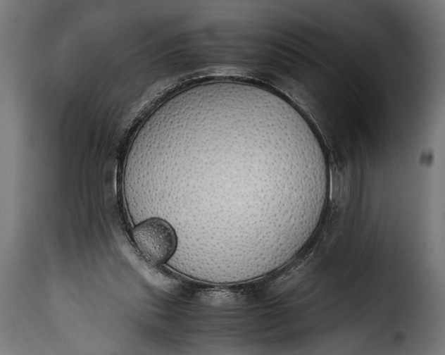 X0000115620253200911241630