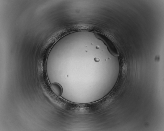 X0000115620254200911241630