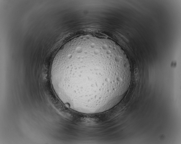 X0000115620255200911241630