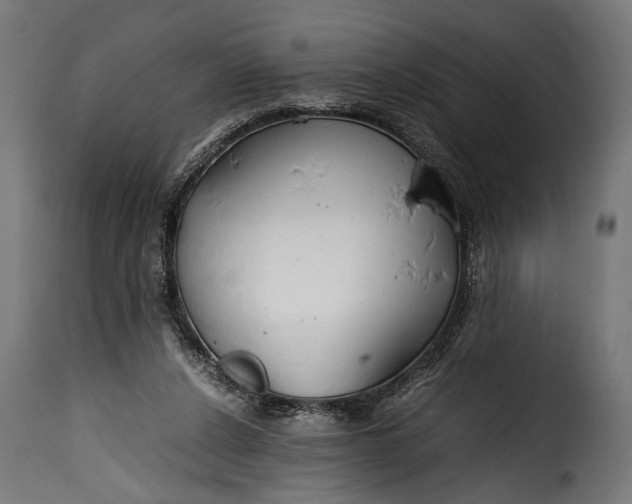 X0000115620256200911241630