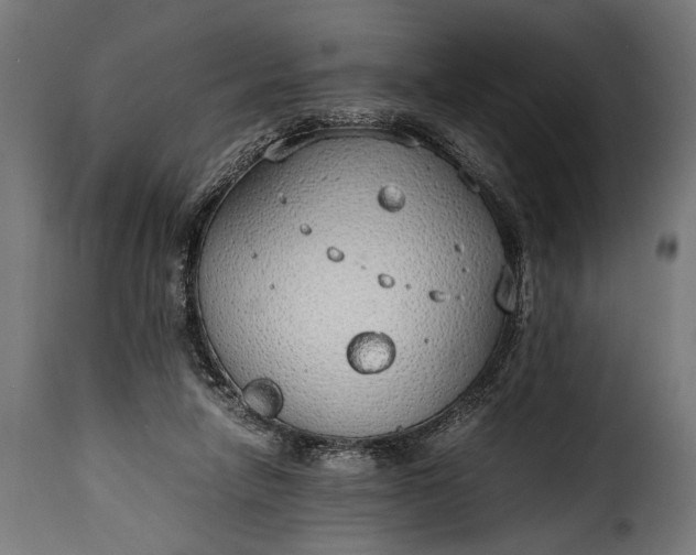 X0000115620258200911241630