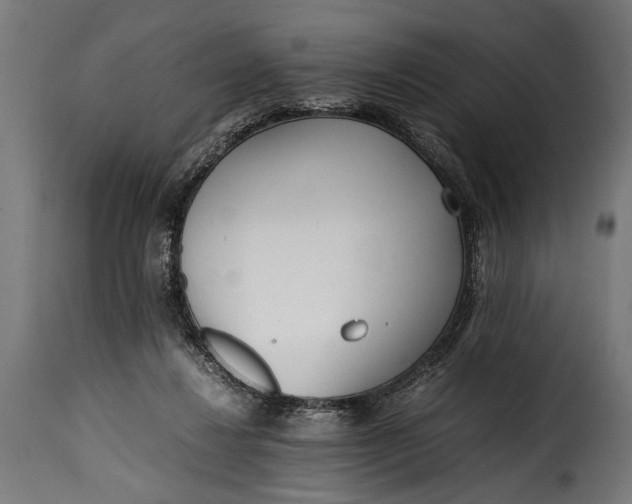 X0000115620260200911241630