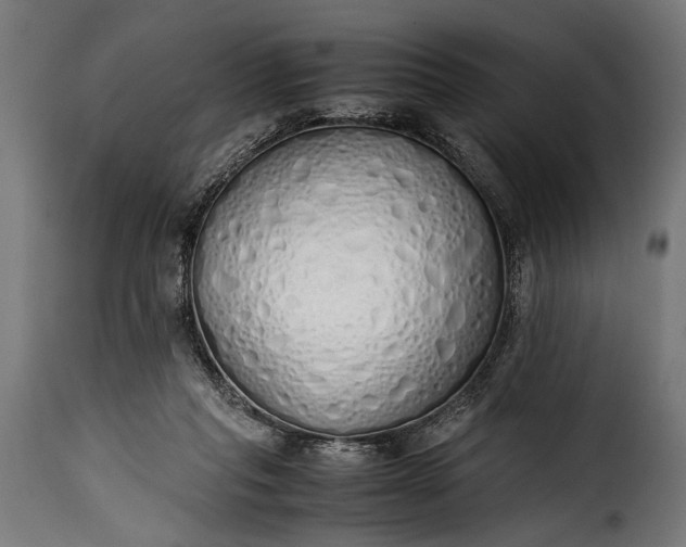 X0000115620261200911241630