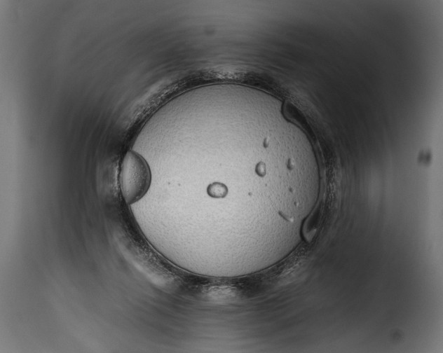 X0000115620262200911241630