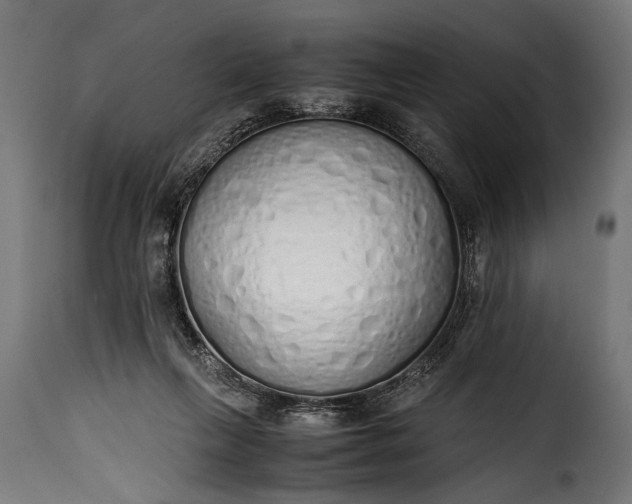 X0000115620263200911241630