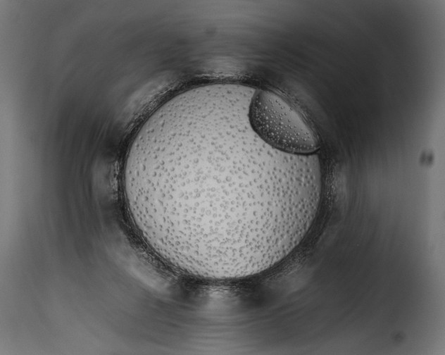 X0000115620264200911241630