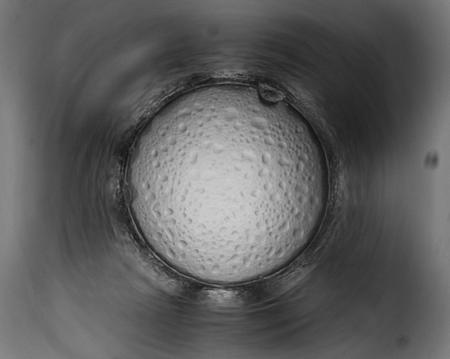 X0000115620265200911241631