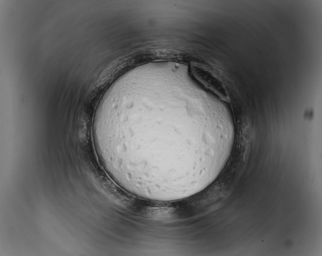 X0000115620266200911241631