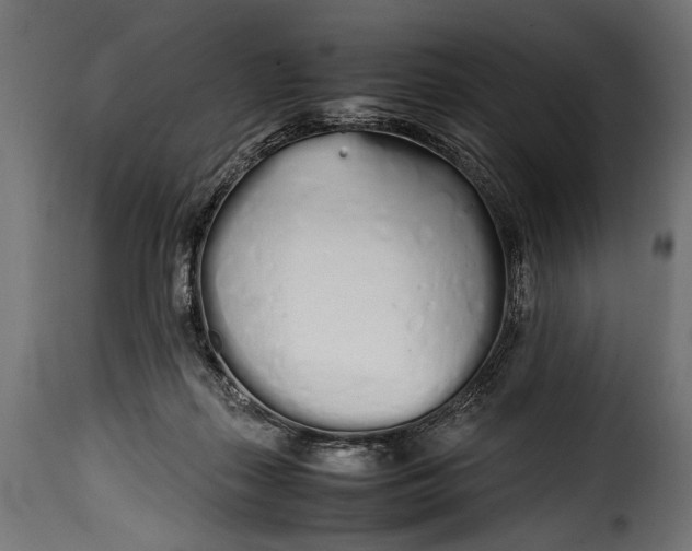 X0000115620267200911241631