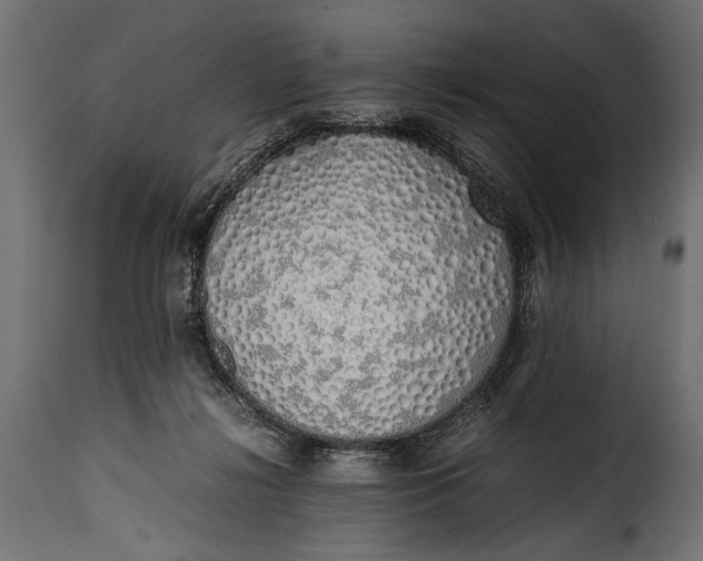 X0000115620268200911241631