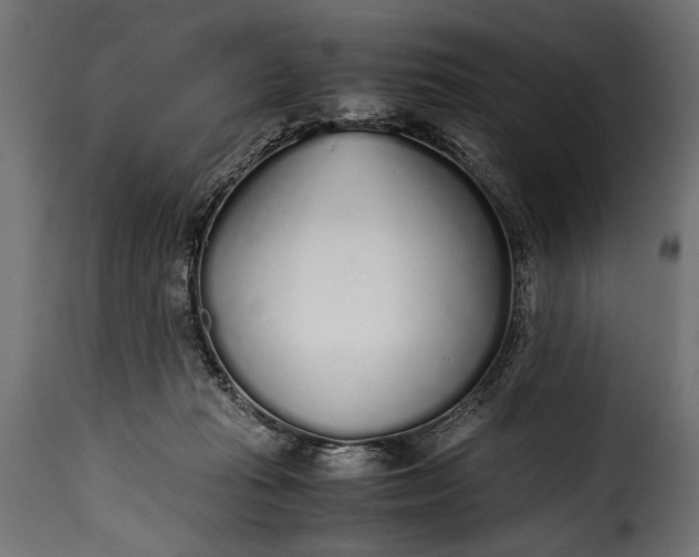 X0000115620269200911241631