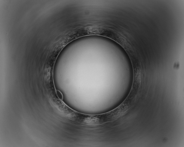 X0000115620271200911241631