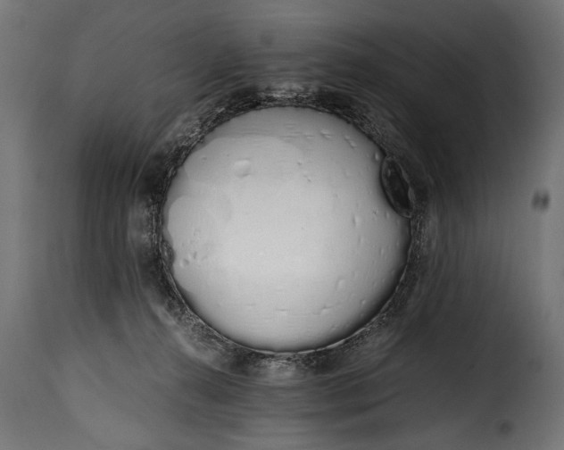 X0000115620272200911241631