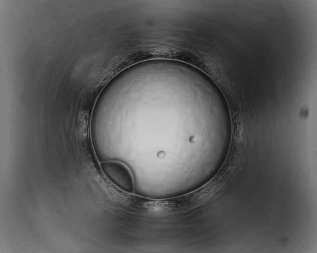 X0000115620273200911241631