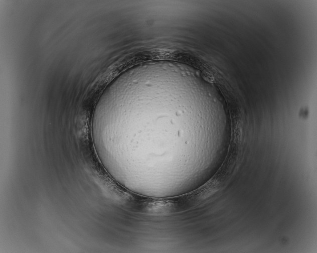 X0000115620274200911241631