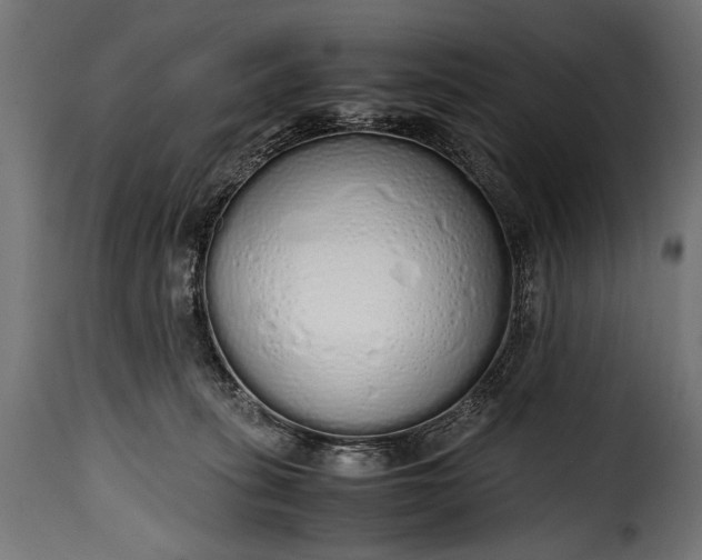 X0000115620275200911241631