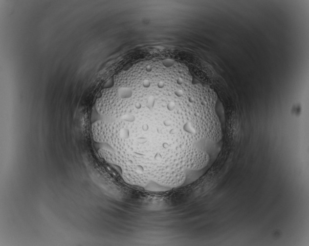 X0000115620276200911241631