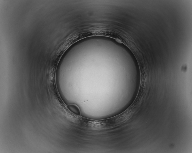 X0000115620277200911241631