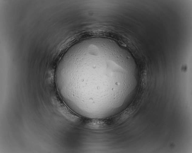 X0000115620278200911241631