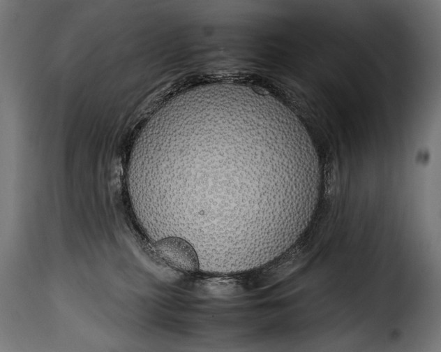 X0000115620279200911241631