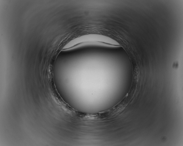 X0000115620280200911241631