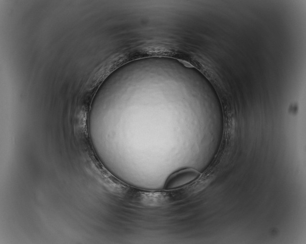 X0000115620281200911241631