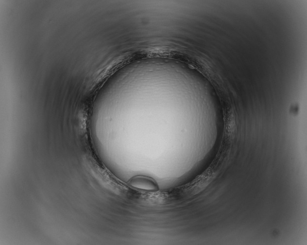 X0000115620282200911241631