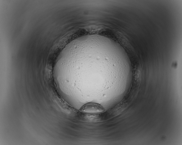 X0000115620283200911241631