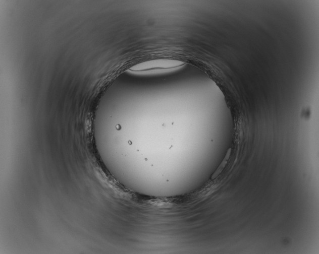 X0000115620284200911241631