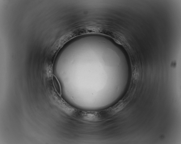 X0000115620285200911241631