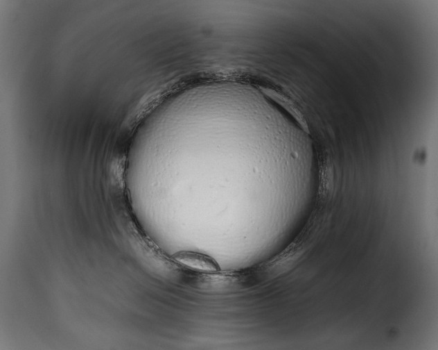 X0000115620286200911241631