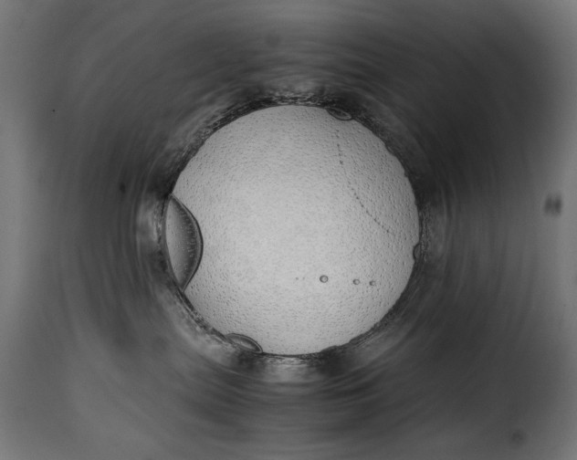 X0000115620287200911241631