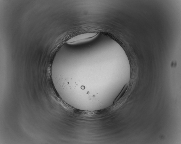 X0000115620288200911241631