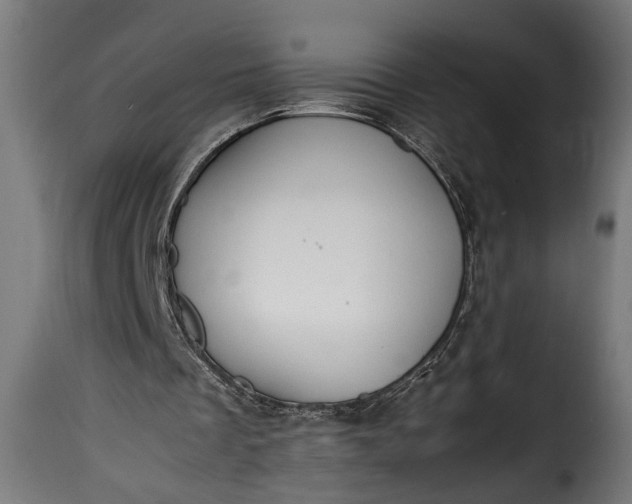 X0000115620289200911241630