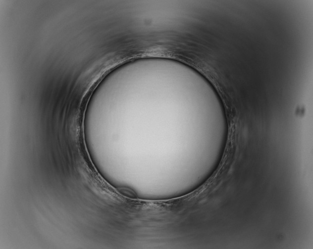 X0000115620290200911241630