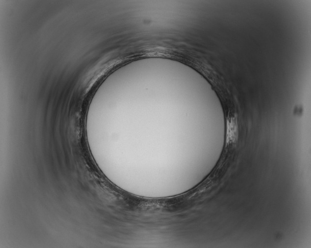 X0000115620291200911241630