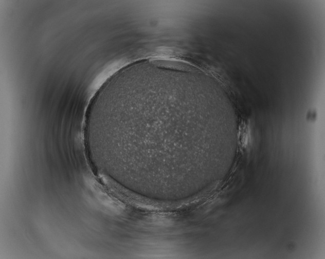 X0000115620292200911241630