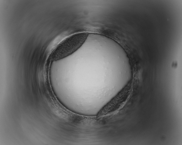 X0000115620294200911241630