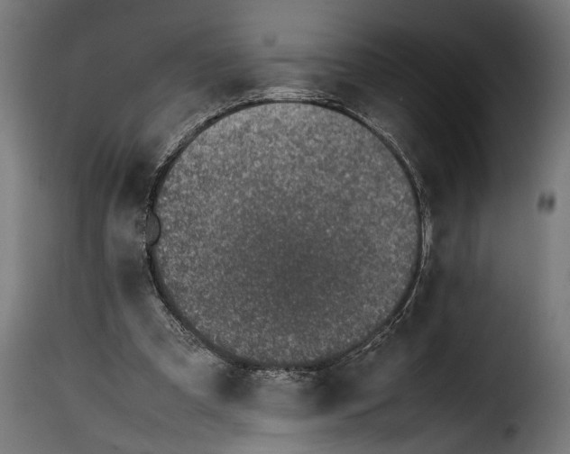 X0000115620297200911241630