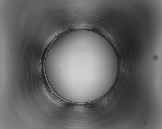 X0000115620298200911241630