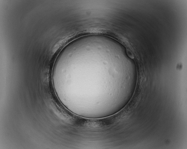 X0000115620299200911241630