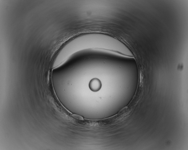 X0000115620301200911241630