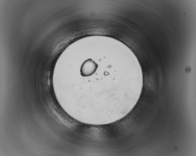 X0000115620302200911241630