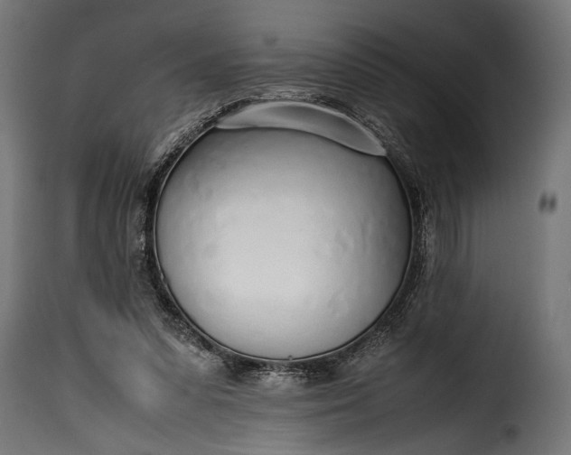 X0000115620303200911241630